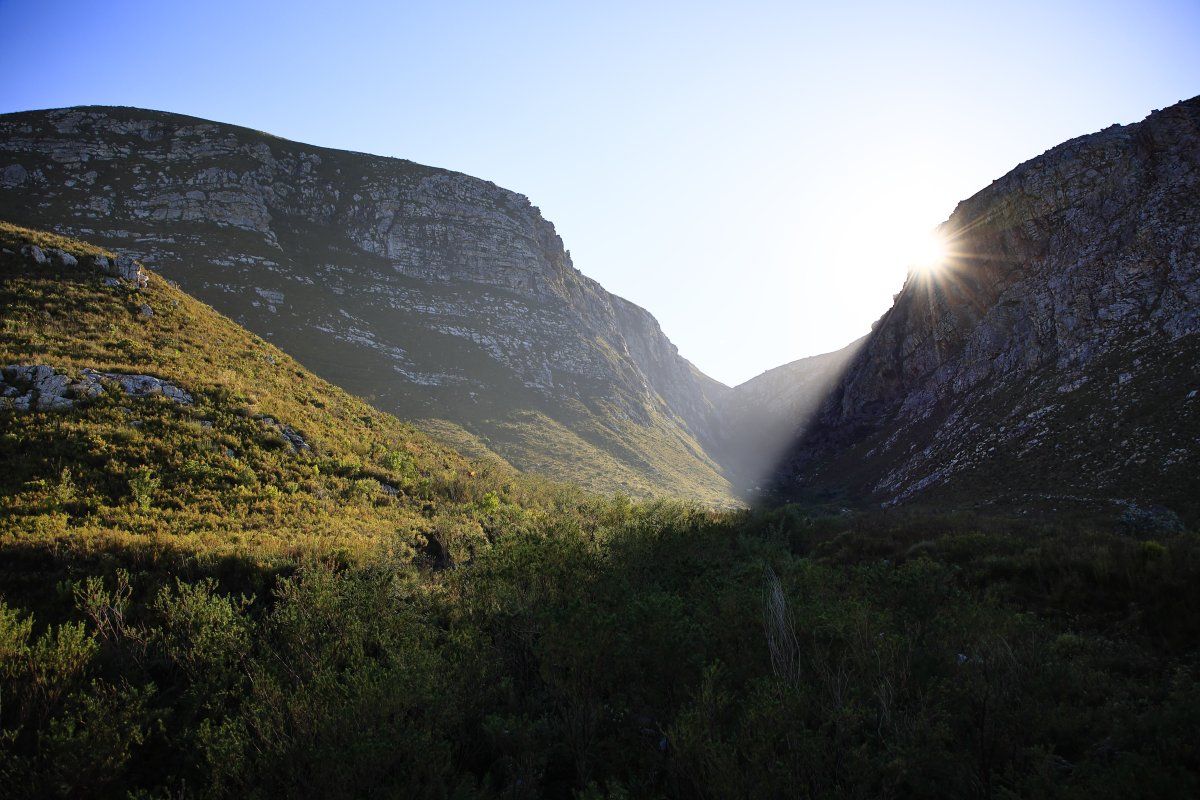 Sunrise over Harold Porter Botanical Garden