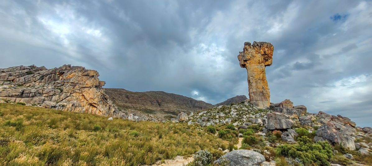 Cederberge Collection - 4