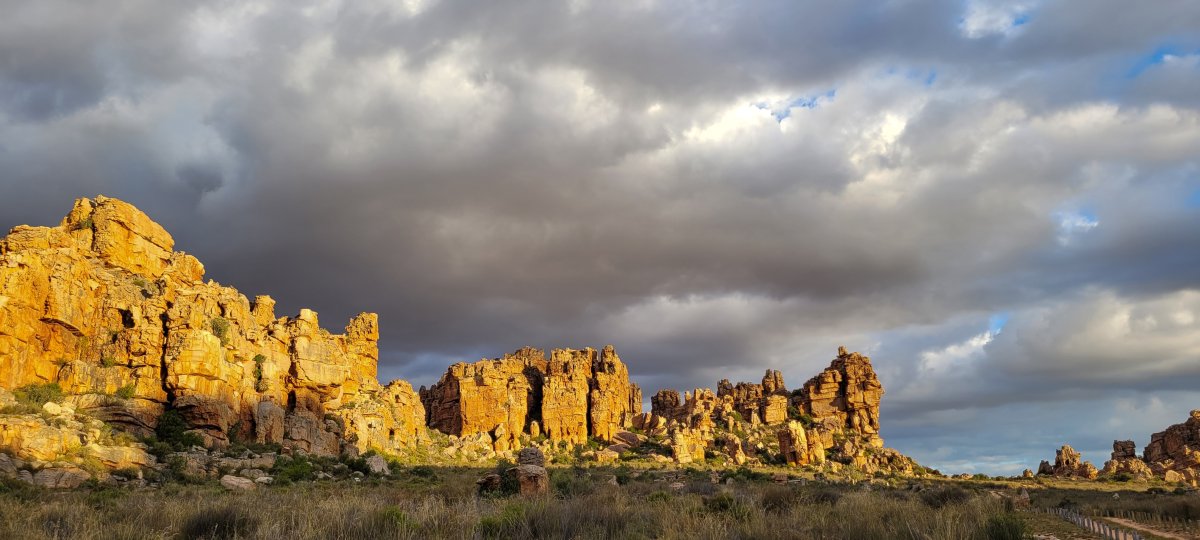 Cederberge Collection - 1