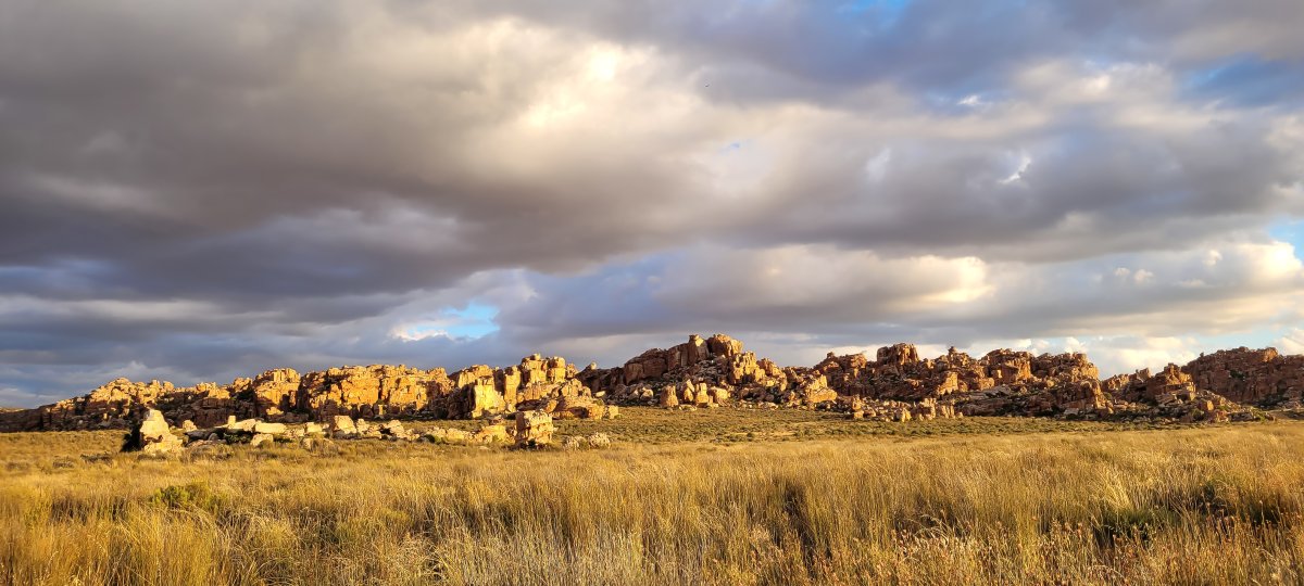 Cederberge Collection - 2