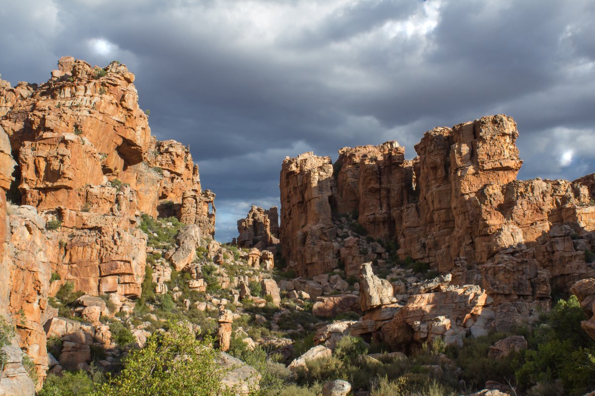 Cederberge Collection - 3